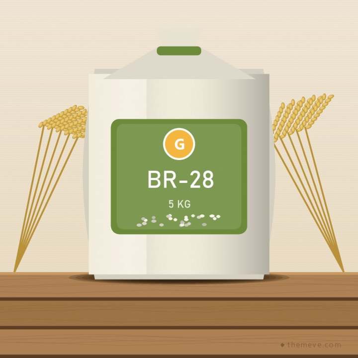 BR-28 Rice
